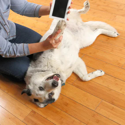 Heartline™ ForeverPrint Frame