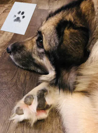 Heartline™ ForeverPrint Frame